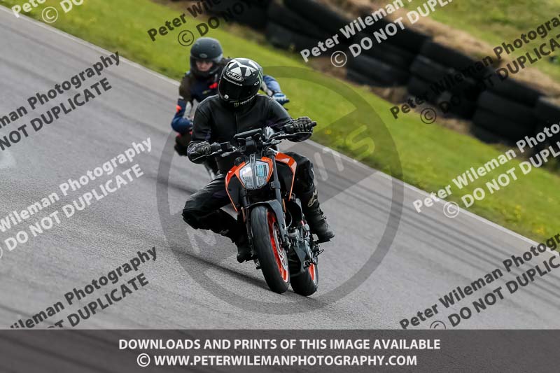 PJ Motorsport 2019;anglesey no limits trackday;anglesey photographs;anglesey trackday photographs;enduro digital images;event digital images;eventdigitalimages;no limits trackdays;peter wileman photography;racing digital images;trac mon;trackday digital images;trackday photos;ty croes